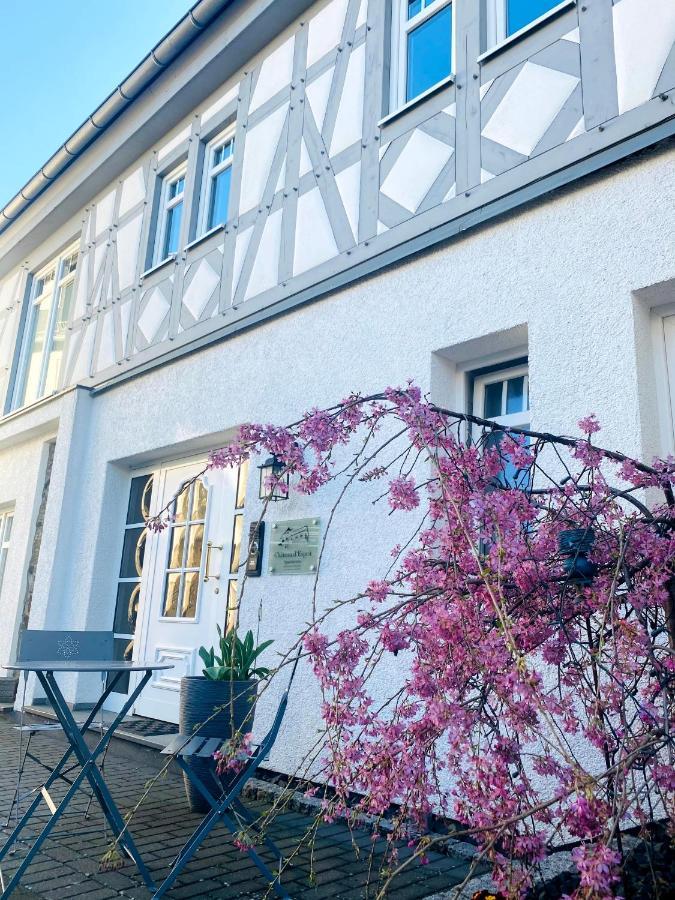 Apartments Im Chateau D'Esprit Höhr-Grenzhausen Exterior foto
